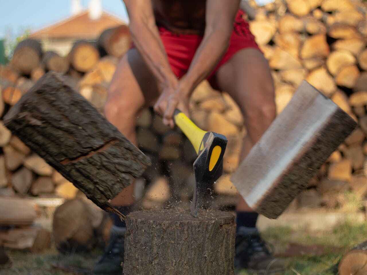 Emergency Storm Tree Removal in Magna, UT